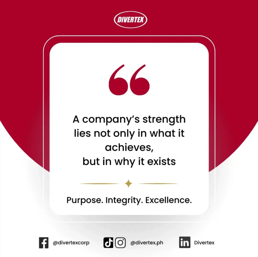 Divertex Instagram purpose integrity excellence post