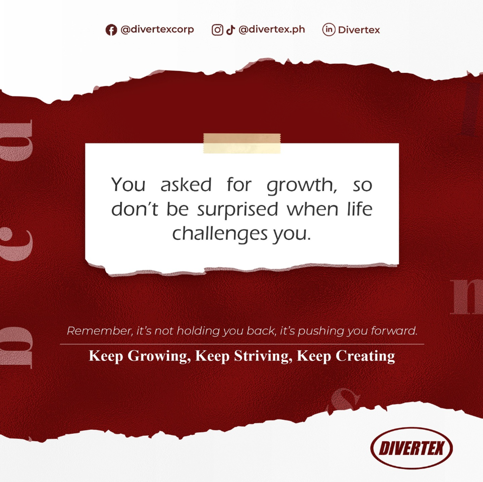 Divertex Instagram growth and purpose post